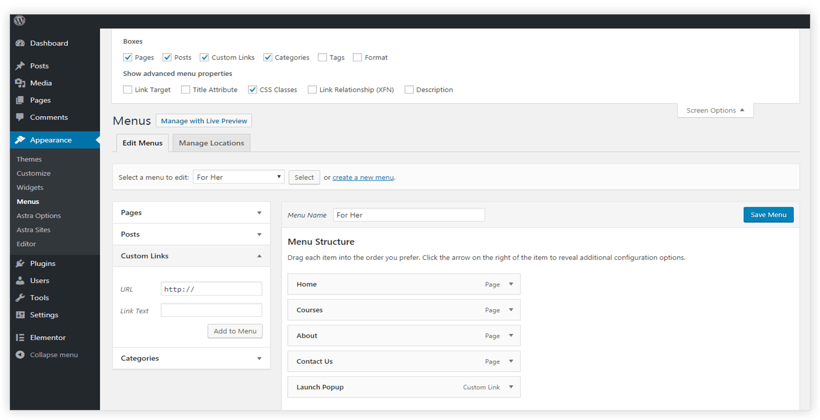 click on created menu item