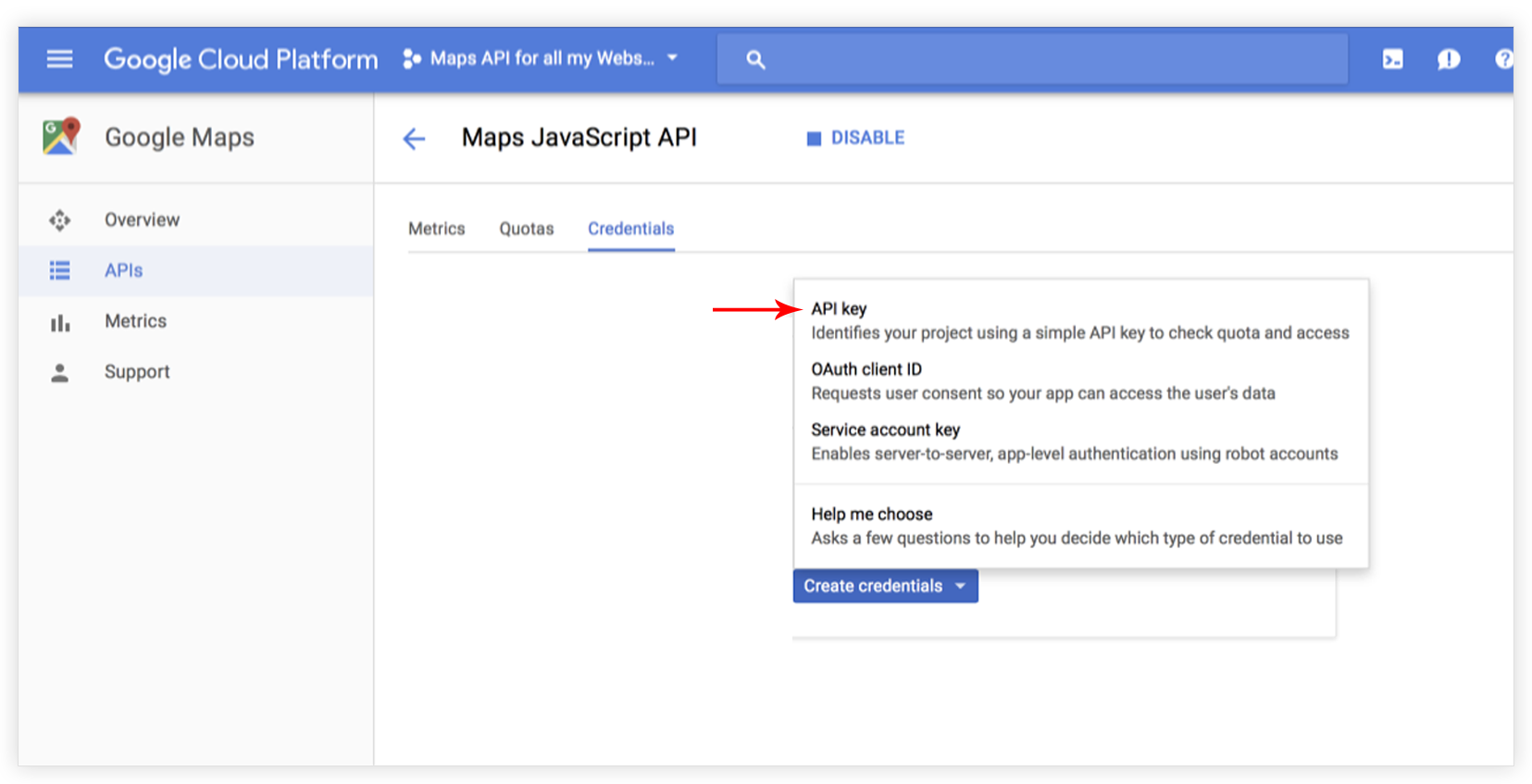 Select API Key option