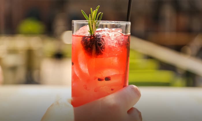 Cocktail Glass
