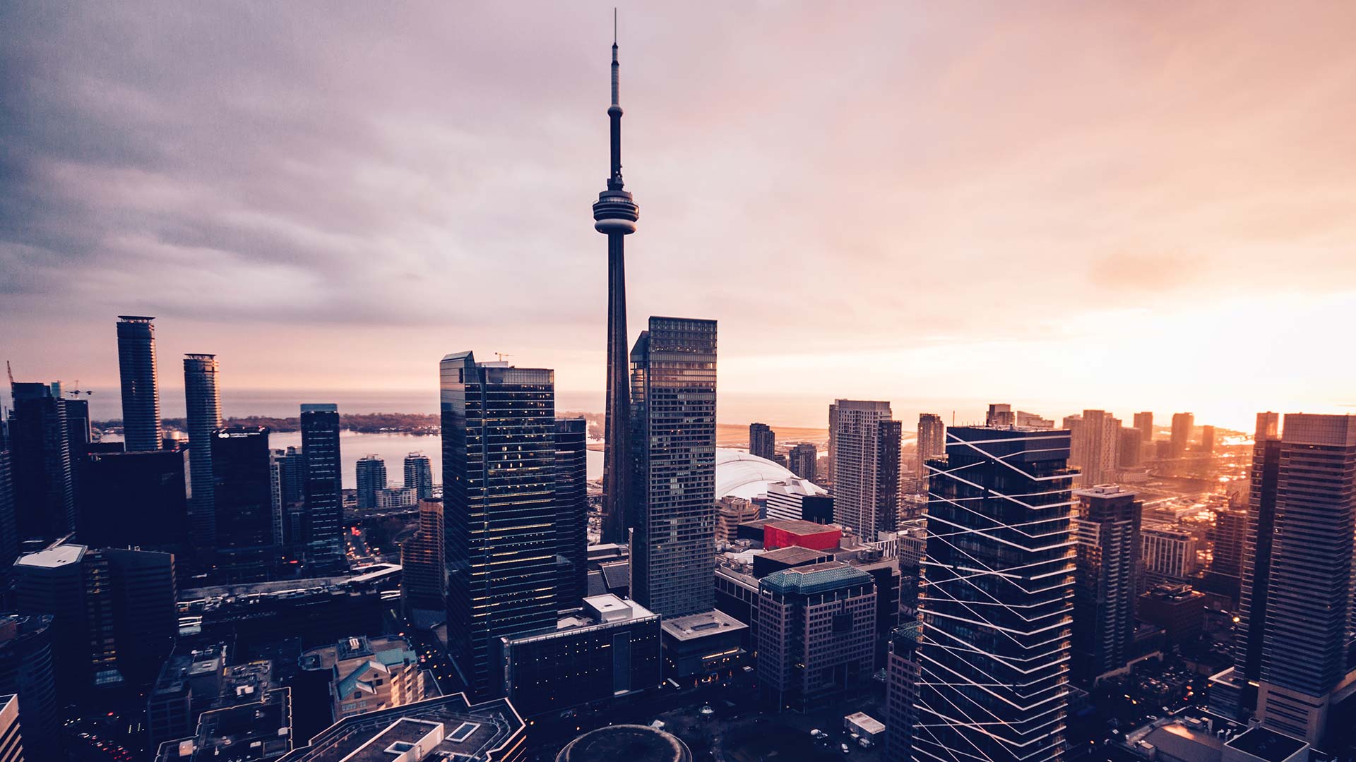cityscape