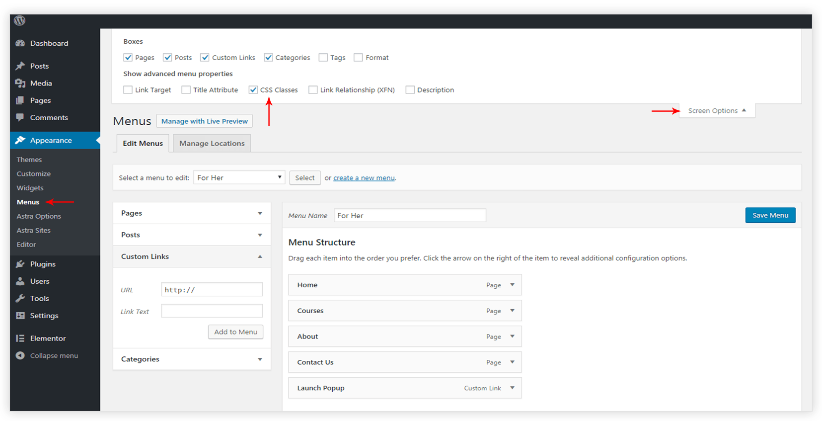 WordPress menus advance settings