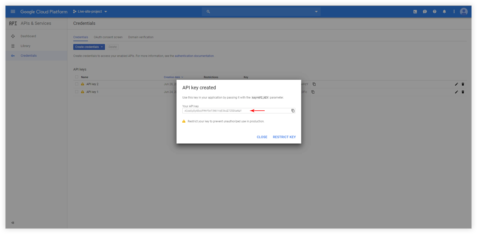 Copy Google Places API key