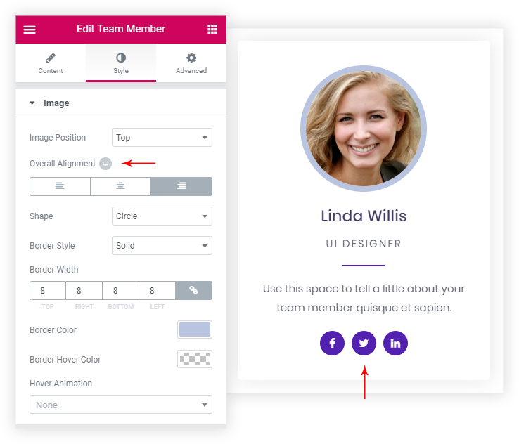 Team member widget social links styling