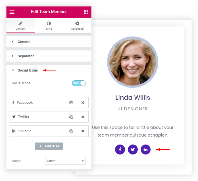 Team member widget social links