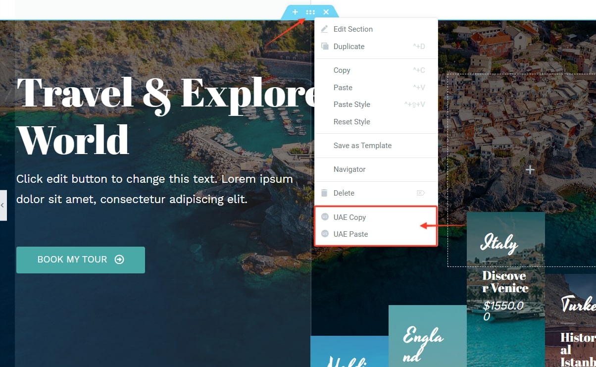 UAE Copy page option