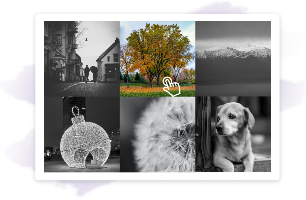 Instagram Feed Effect