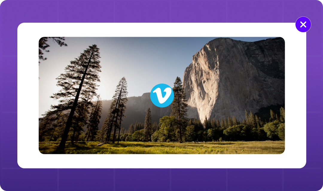 Vimeo Embed